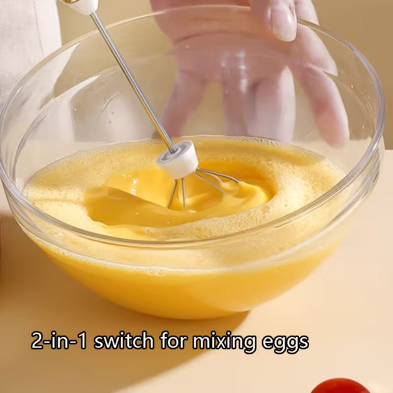 Stainless Steel Milk Frother Handheld